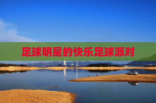 足球明星的快乐足球派对