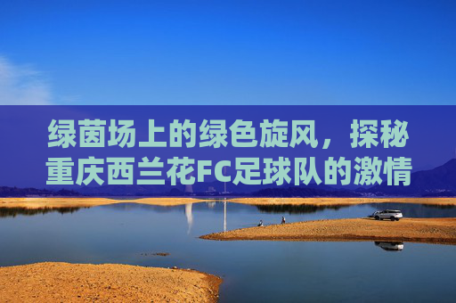 绿茵场上的绿色旋风,探秘重庆西兰花FC足球队的激情与快乐