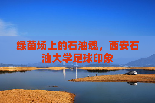 绿茵场上的石油魂，西安石油大学足球印象