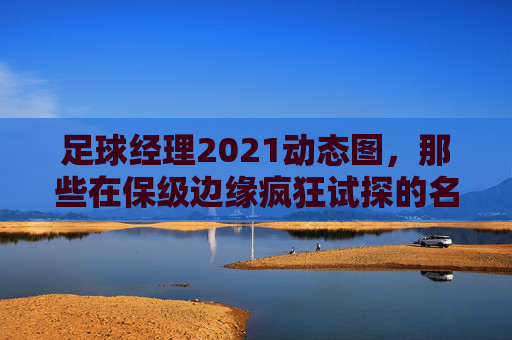 足球经理2021动态图，那些在保级边缘疯狂试探的名场面与欢乐源泉