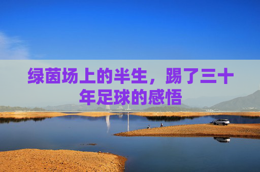 绿茵场上的半生，踢了三十年足球的感悟