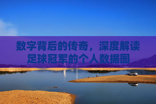 数字背后的传奇,深度解读足球冠军的个人数据图