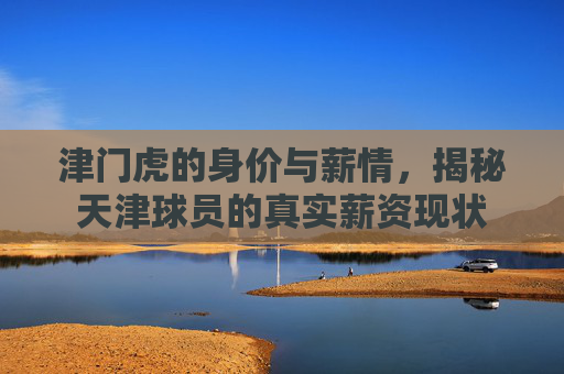 津门虎的身价与薪情，揭秘天津球员的真实薪资现状