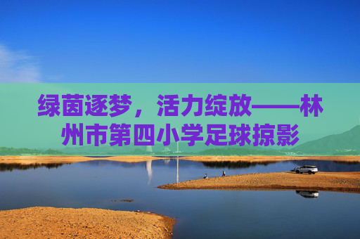绿茵逐梦,活力绽放——林州市第四小学足球掠影
