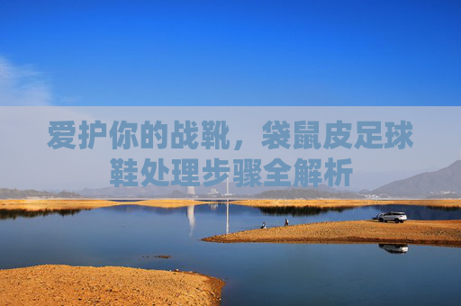 爱护你的战靴,袋鼠皮足球鞋处理步骤全解析