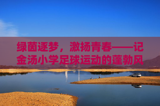 绿茵逐梦，激扬青春——记金汤小学足球运动的蓬勃风采