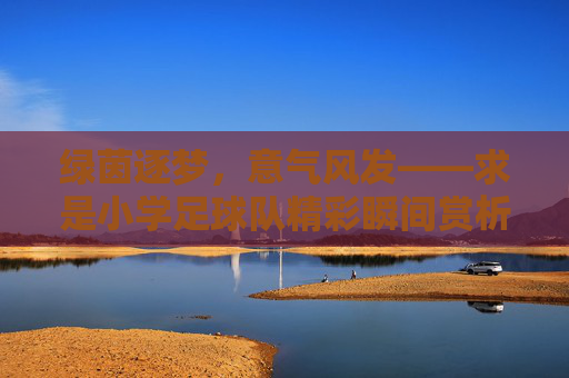 绿茵逐梦,意气风发——求是小学足球队精彩瞬间赏析