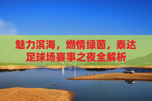 魅力滨海，燃情绿茵，泰达足球场赛事之夜全解析