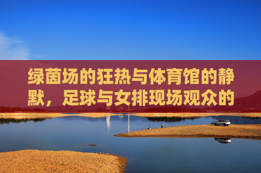 绿茵场的狂热与体育馆的静默,足球与女排现场观众的不同灵魂