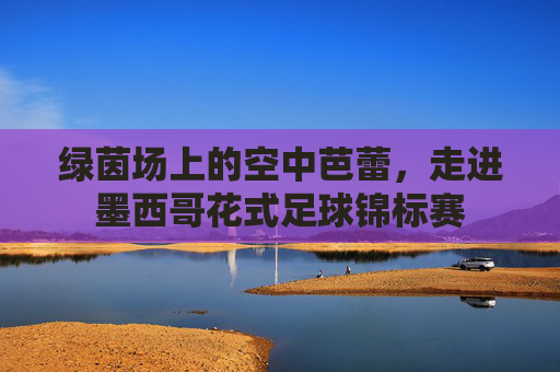 绿茵场上的空中芭蕾,走进墨西哥花式足球锦标赛