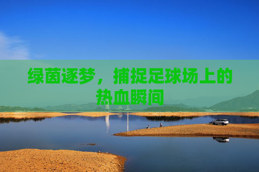 绿茵逐梦，捕捉足球场上的热血瞬间