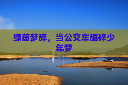 绿茵梦碎,当公交车碾碎少年梦