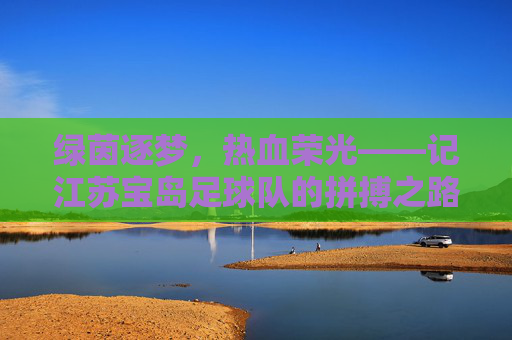 绿茵逐梦,热血荣光——记江苏宝岛足球队的拼搏之路