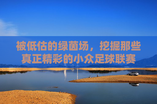 被低估的绿茵场,挖掘那些真正精彩的小众足球联赛