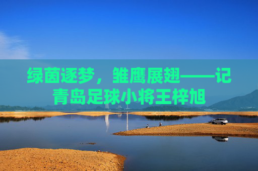 绿茵逐梦,雏鹰展翅——记青岛足球小将王梓旭