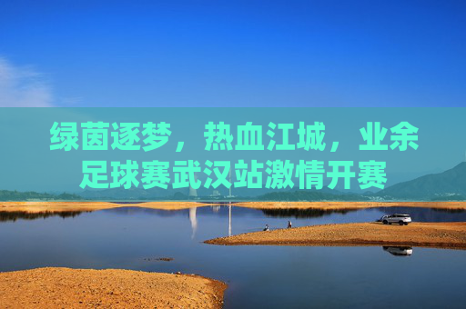 绿茵逐梦，热血江城，业余足球赛武汉站激情开赛