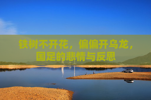 铁树不开花,偏偏开乌龙,国足的悲情与反思