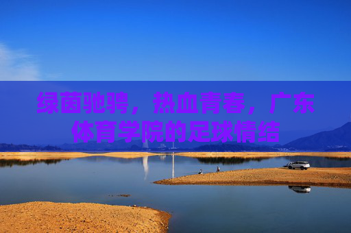 绿茵驰骋，热血青春，广东体育学院的足球情结