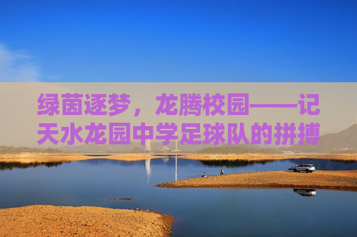 绿茵逐梦,龙腾校园——记天水龙园中学足球队的拼搏风采