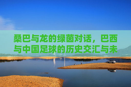 桑巴与龙的绿茵对话，巴西与中国足球的历史交汇与未来展望