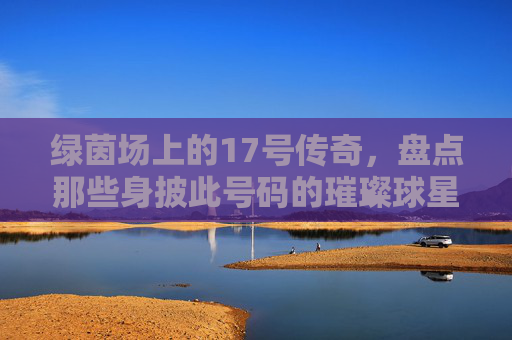 绿茵场上的17号传奇，盘点那些身披此号码的璀璨球星