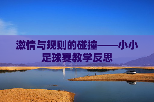 激情与规则的碰撞——小小足球赛教学反思
