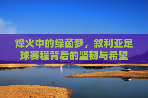 烽火中的绿茵梦，叙利亚足球赛程背后的坚韧与希望