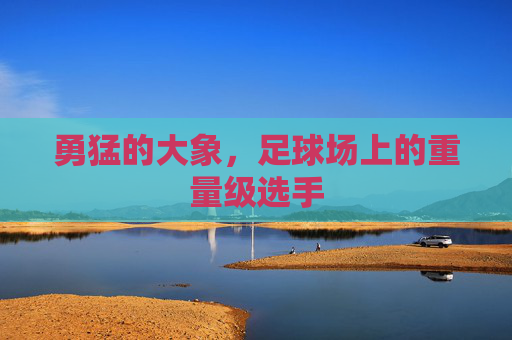 勇猛的大象，足球场上的重量级选手