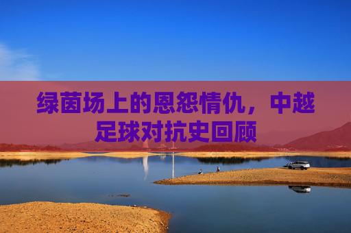 绿茵场上的恩怨情仇,中越足球对抗史回顾