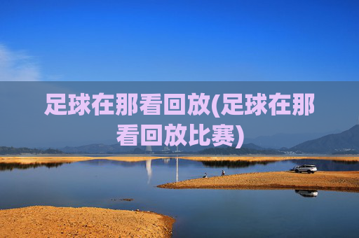 足球在那看回放(足球在那看回放比赛)