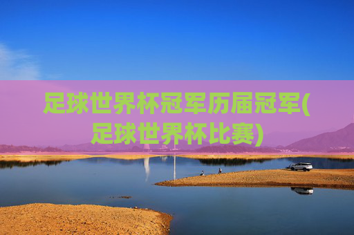 足球世界杯冠军历届冠军(足球世界杯比赛)
