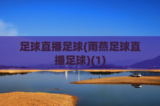足球直播足球(雨燕足球直播足球)(1)