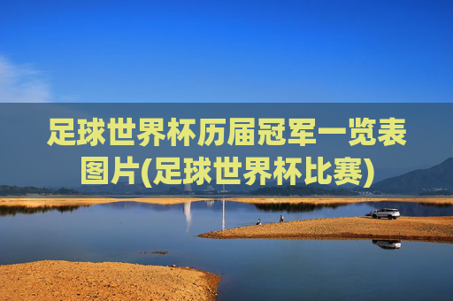足球世界杯历届冠军一览表图片(足球世界杯比赛)