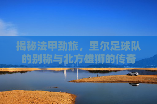 揭秘法甲劲旅,里尔足球队的别称与北方雄狮的传奇