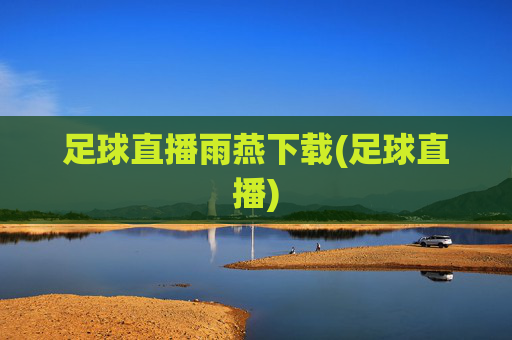 足球直播雨燕下载(足球直播)
