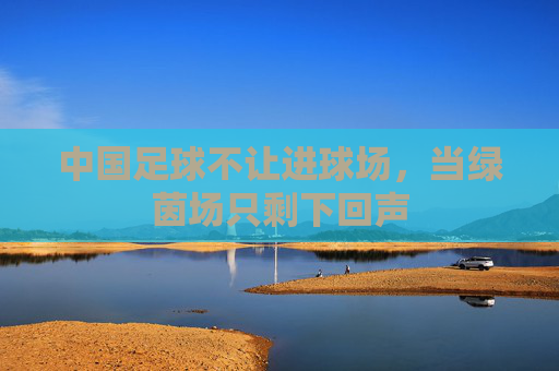 中国足球不让进球场，当绿茵场只剩下回声