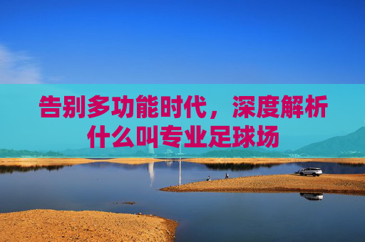 告别多功能时代,深度解析什么叫专业足球场