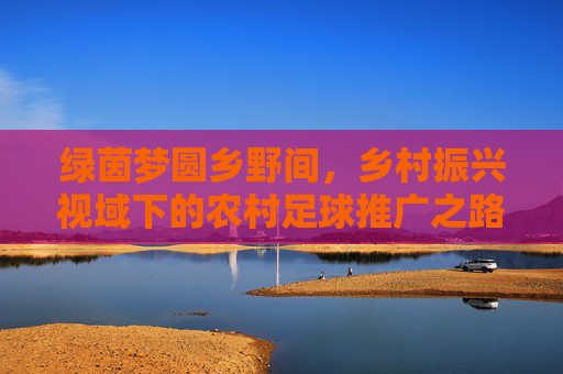 绿茵梦圆乡野间，乡村振兴视域下的农村足球推广之路