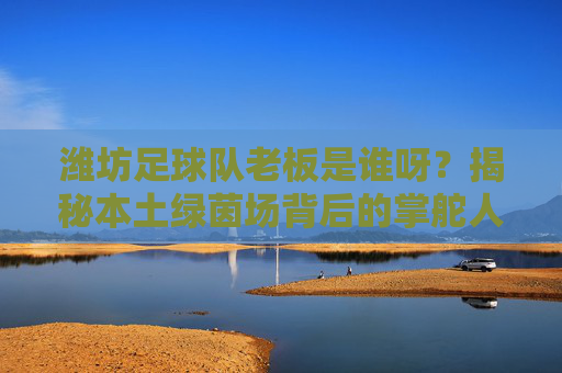 潍坊足球队老板是谁呀?揭秘本土绿茵场背后的掌舵人
