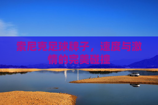 索尼克足球牌子,速度与激情的完美碰撞