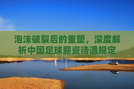 泡沫破裂后的重塑,深度解析中国足球薪资待遇规定