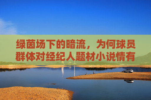 绿茵场下的暗流,为何球员群体对经纪人题材小说情有独钟?