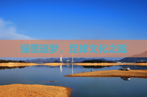 绿茵逐梦，足球文化之魂