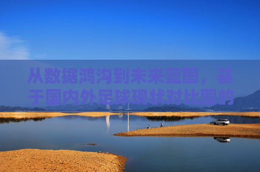从数据鸿沟到未来蓝图，基于国内外足球现状对比图的深度思考