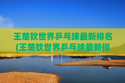 王楚钦世界乒乓球最新排名(王楚钦世界乒乓球最新排名多少)