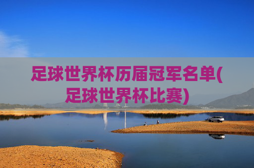 足球世界杯历届冠军名单(足球世界杯比赛)