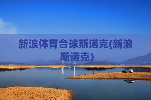 新浪体育台球斯诺克(新浪 斯诺克)