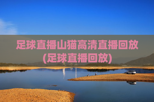 足球直播山猫高清直播回放(足球直播回放)