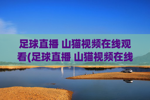 足球直播 山猫视频在线观看(足球直播 山猫视频在线观看免费)