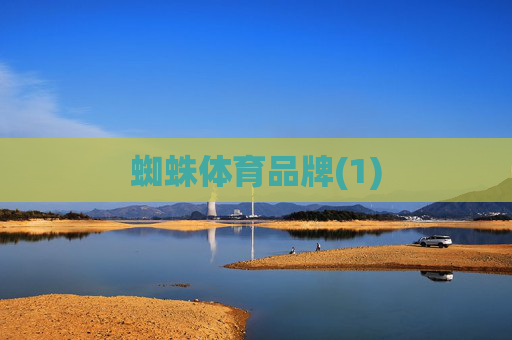 蜘蛛体育品牌(1)